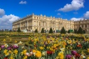 Chateau de Versailles Gardens, France