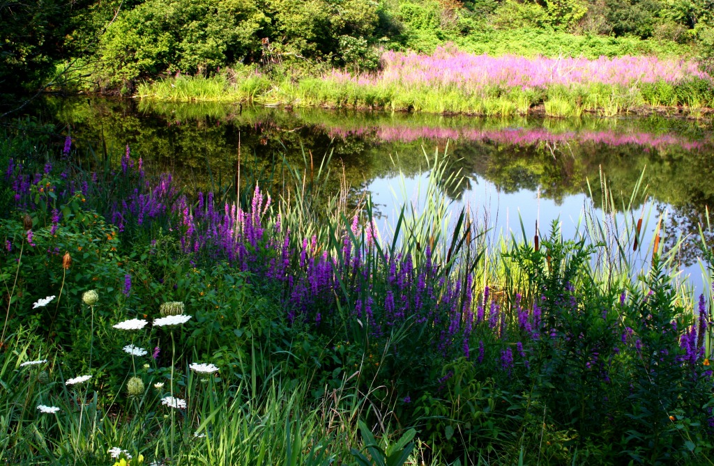 Summer Landscape jigsaw puzzle in Great Sightings puzzles on TheJigsawPuzzles.com