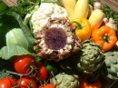 Artichoke, Bell Peppers, Cabbage, Cauliflower