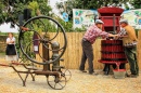 Traditional Wine Pressing in France