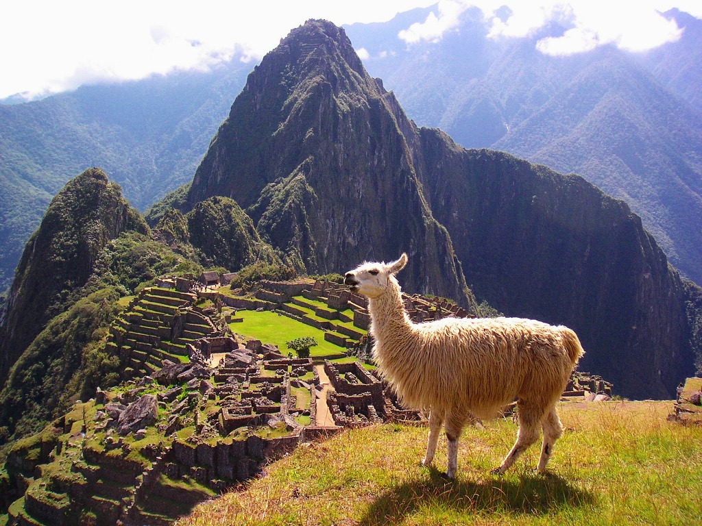 Lama in Machu Picchu, Peru jigsaw puzzle in Puzzle des Tages puzzles on TheJigsawPuzzles.com