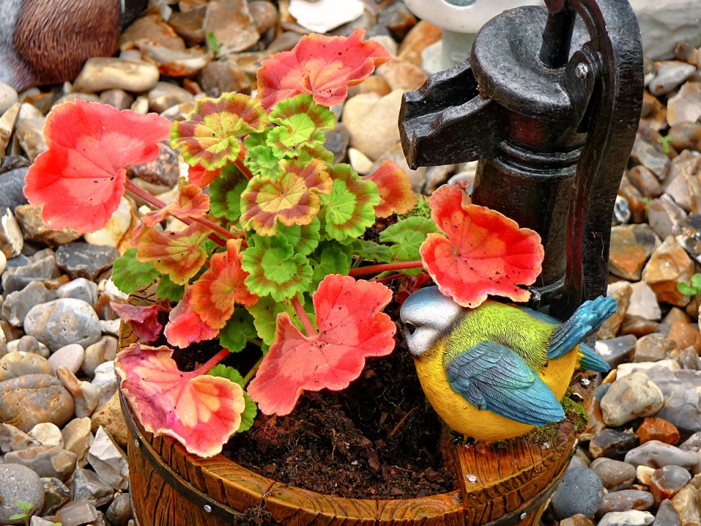Geranium in the Pot jigsaw puzzle in Puzzle of the Day puzzles on TheJigsawPuzzles.com