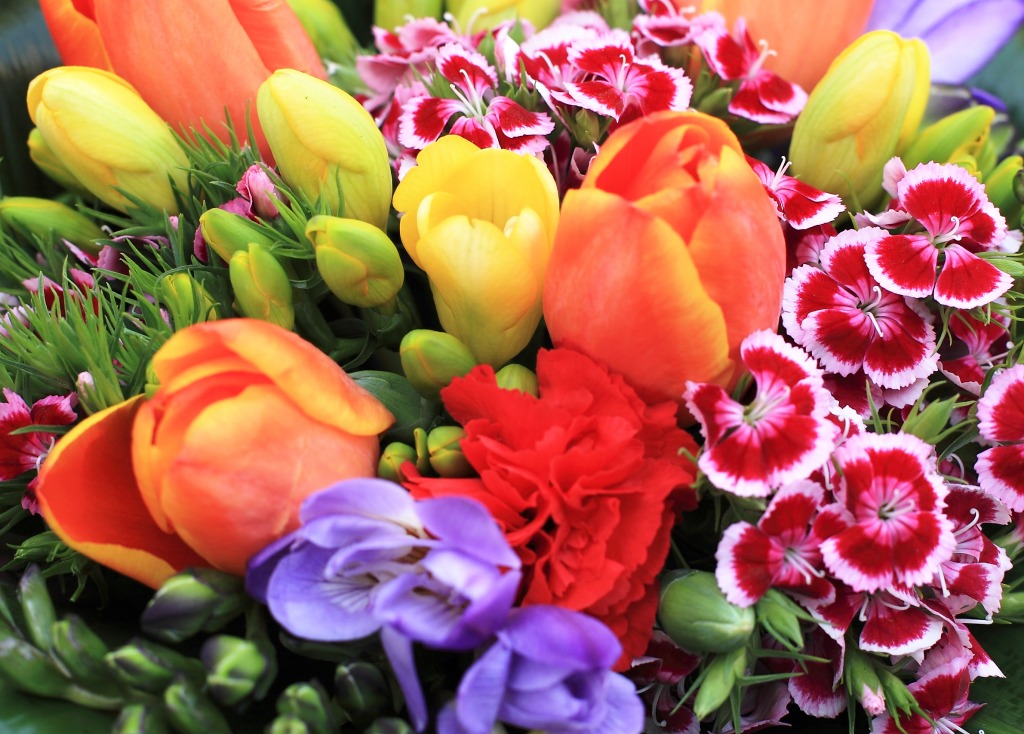 Bunch of Colorful Flowers jigsaw puzzle in Flowers puzzles on TheJigsawPuzzles.com