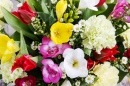 Bouquet of Freesias, Carnations and Tulips