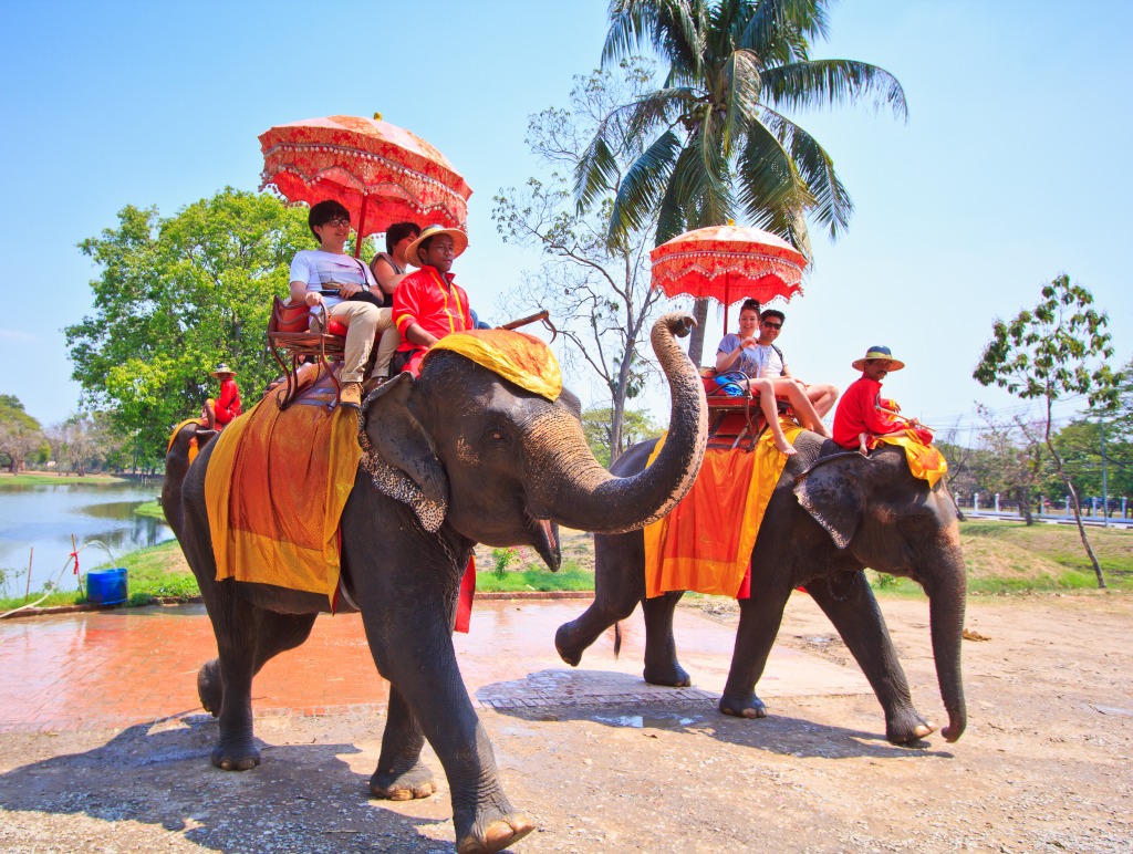 Elephant Ride in Ayutthaya, Thailand jigsaw puzzle in Animals puzzles on TheJigsawPuzzles.com
