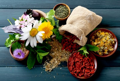 Herbs, Berries and Flowers jigsaw puzzle in Macro puzzles on ...