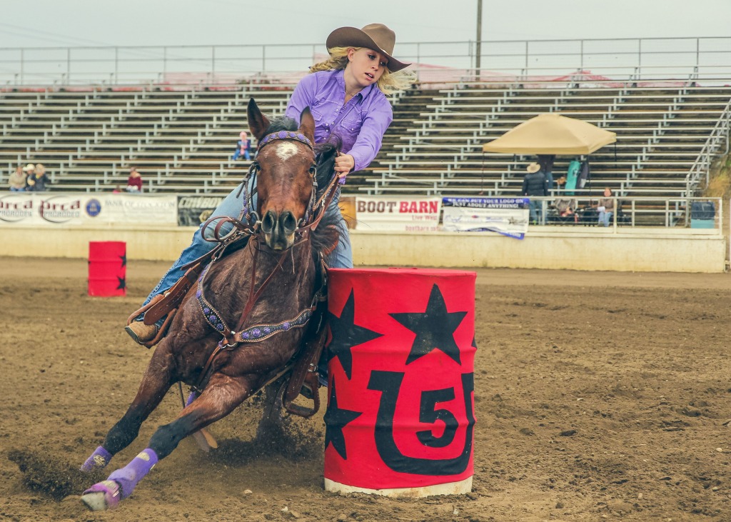 Barrel Racing Cowgirl jigsaw puzzle in Puzzle of the Day puzzles on TheJigsawPuzzles.com