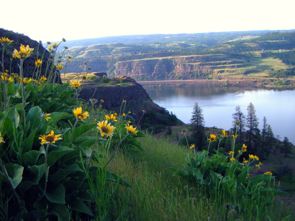 Columbia River jigsaw puzzle in Flowers puzzles on TheJigsawPuzzles.com