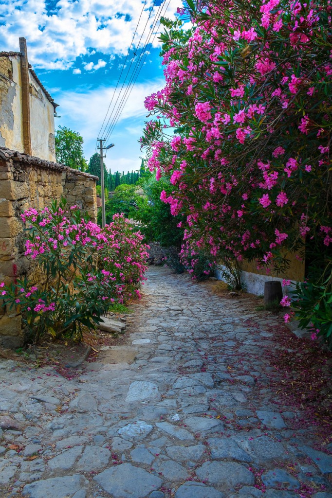 Adatepe-Dar-Sokak jigsaw puzzle in Saruhan Erim puzzles on TheJigsawPuzzles.com