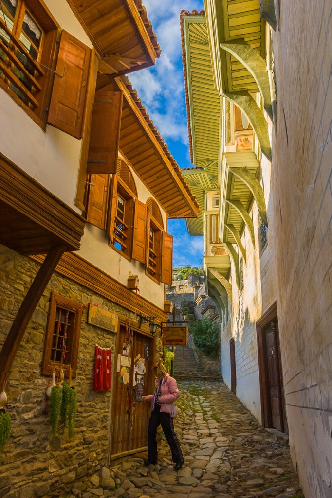 Birgi-Arkasokak jigsaw puzzle in Saruhan Erim puzzles on TheJigsawPuzzles.com