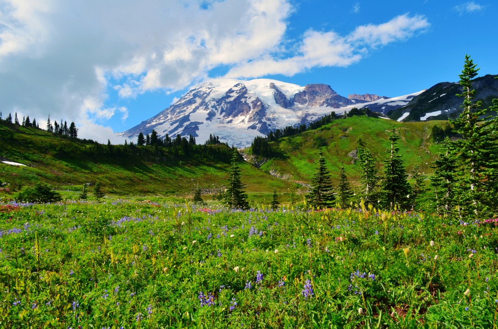 Mt. Rainier jigsaw puzzle in Great Sightings puzzles on TheJigsawPuzzles.com
