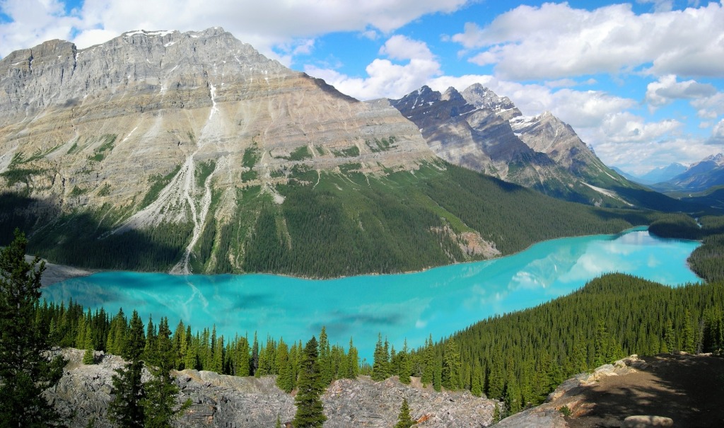 Peyto Lake, Banff National Park, Canada jigsaw puzzle in Great Sightings puzzles on TheJigsawPuzzles.com