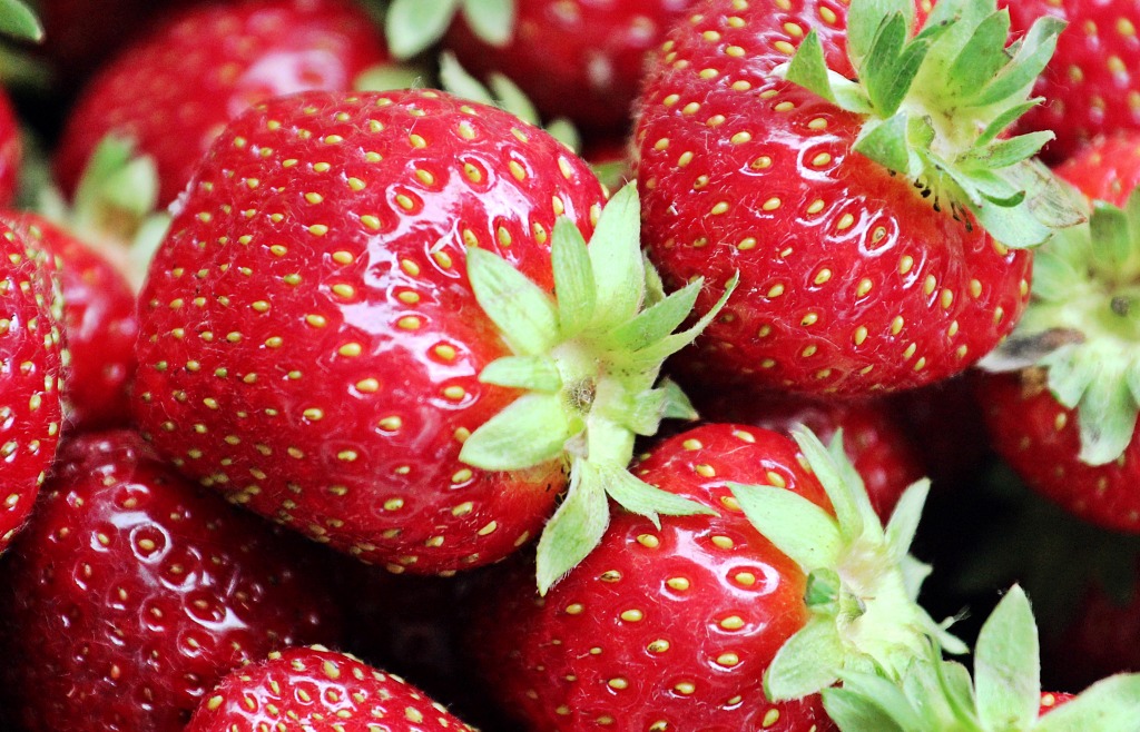 Fresh Strawberries jigsaw puzzle in Fruits & Veggies puzzles on TheJigsawPuzzles.com