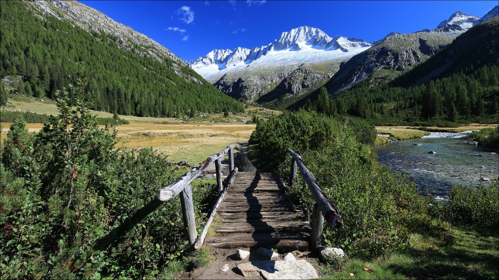 Parc Adamello Brenta Nature, Italie jigsaw puzzle in Ponts puzzles on TheJigsawPuzzles.com