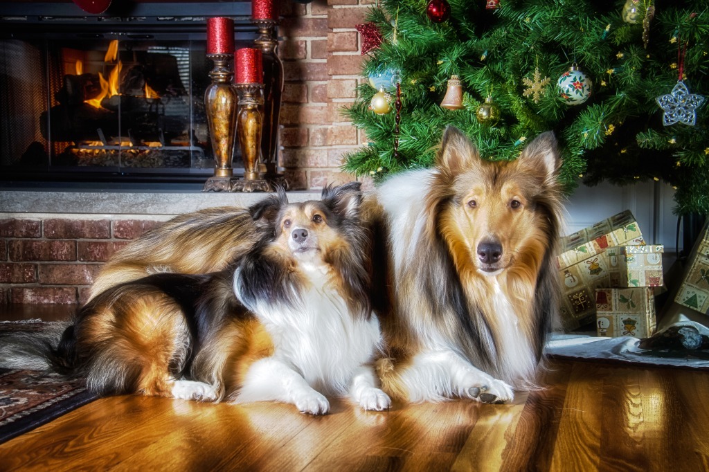 By the Fireplace jigsaw puzzle in Christmas & New Year puzzles on TheJigsawPuzzles.com