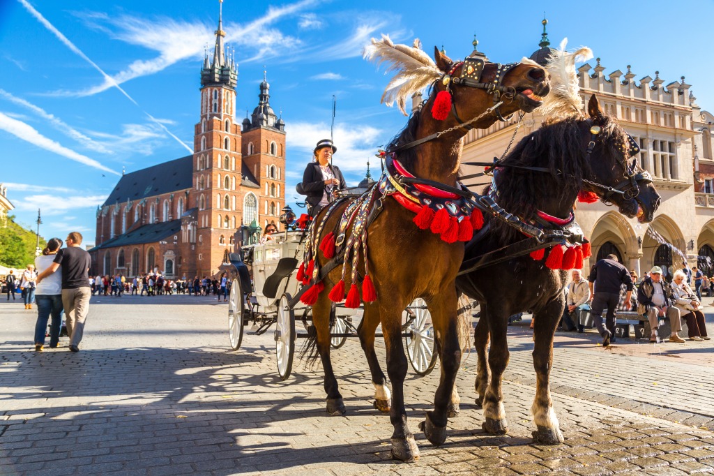 Horse Carriages in Krakow, Poland jigsaw puzzle in Animals puzzles on TheJigsawPuzzles.com