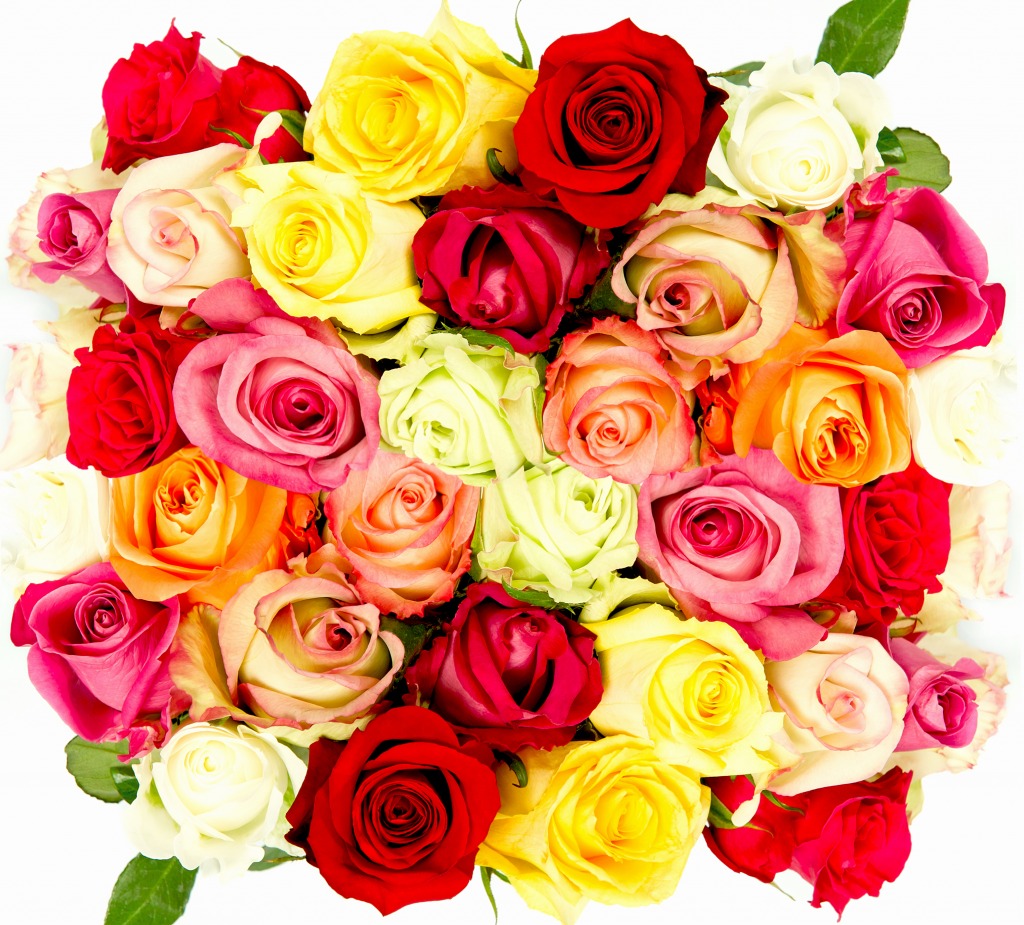 Beautiful Roses jigsaw puzzle in Flowers puzzles on TheJigsawPuzzles.com