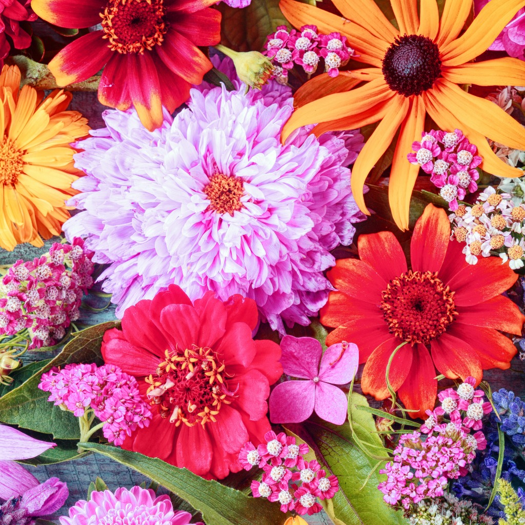 Colorful Summer Flowers jigsaw puzzle in Flowers puzzles on TheJigsawPuzzles.com