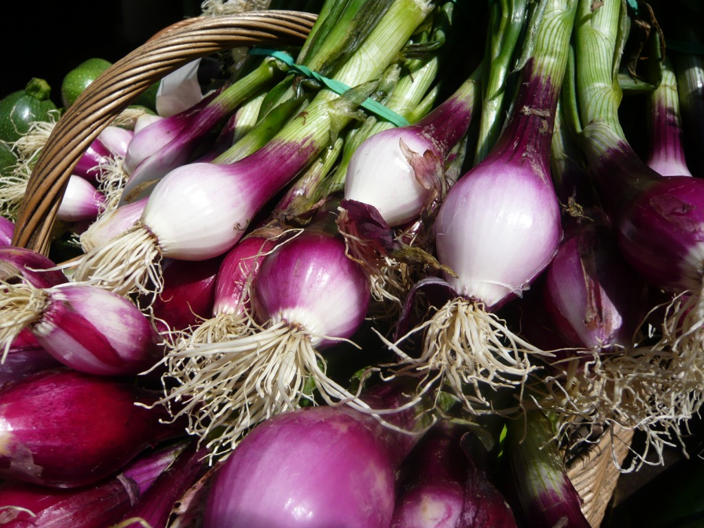 Salad Onions jigsaw puzzle in Fruits & Veggies puzzles on TheJigsawPuzzles.com