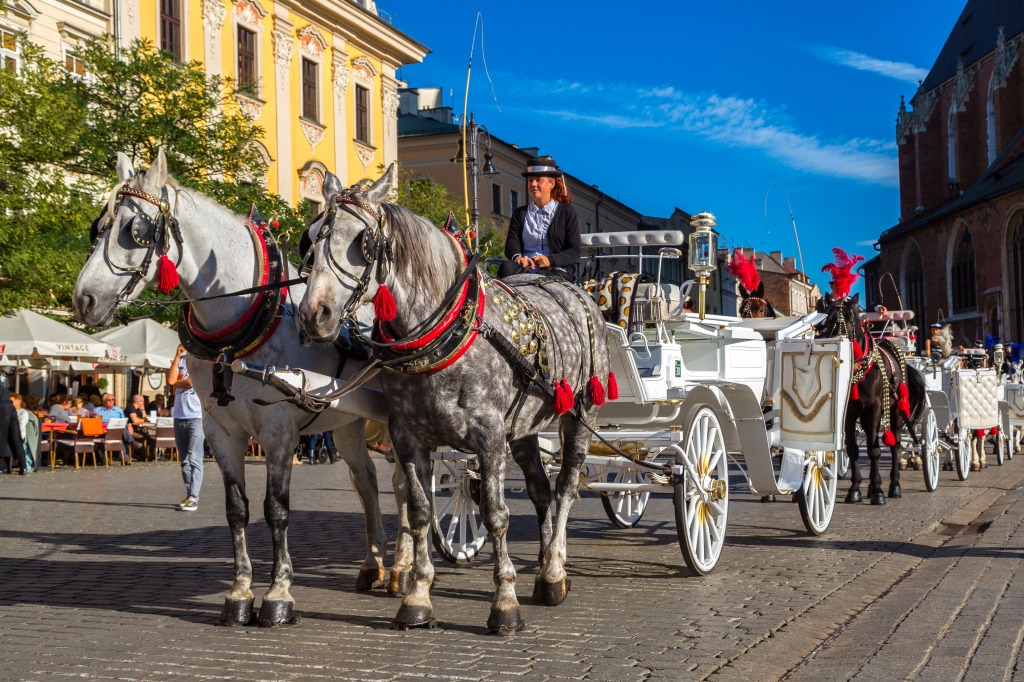 Horse Carriages in Krakow jigsaw puzzle in Animals puzzles on TheJigsawPuzzles.com