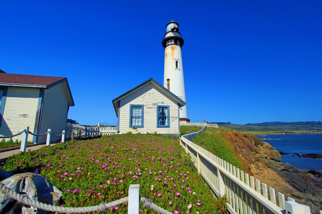 Pigeon Point Lighthouse, California jigsaw puzzle in Great Sightings puzzles on TheJigsawPuzzles.com