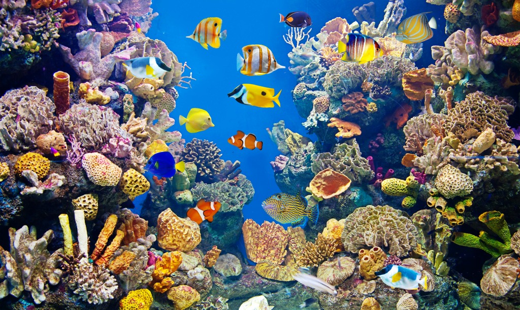 Colorful Aquarium jigsaw puzzle in Puzzle of the Day puzzles on TheJigsawPuzzles.com