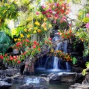 Waterfall in the Garden