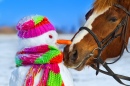 Horse and Snowman