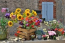 Bouquets for Sale in Provence