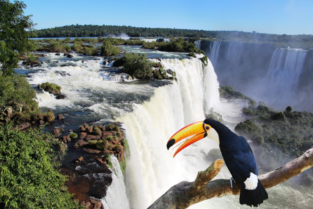 Iguazú-Wasserfälle und ein Riesentukan jigsaw puzzle in Wasserfälle puzzles on TheJigsawPuzzles.com