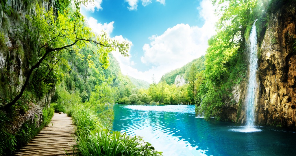 Deep Forest of Croatia jigsaw puzzle in Waterfalls puzzles on TheJigsawPuzzles.com