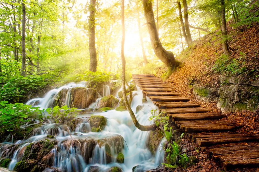 Deep Forest Stream jigsaw puzzle in Waterfalls puzzles on TheJigsawPuzzles.com