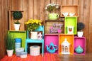 Colorful Shelves