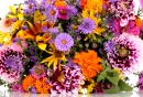 Beautiful Bouquet of Bright Flowers