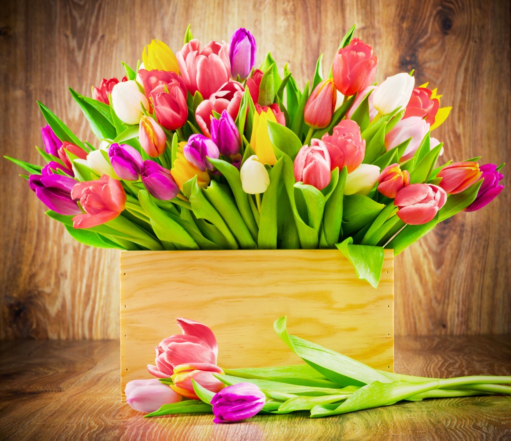 Tulips in the Box jigsaw puzzle in Flowers puzzles on TheJigsawPuzzles.com