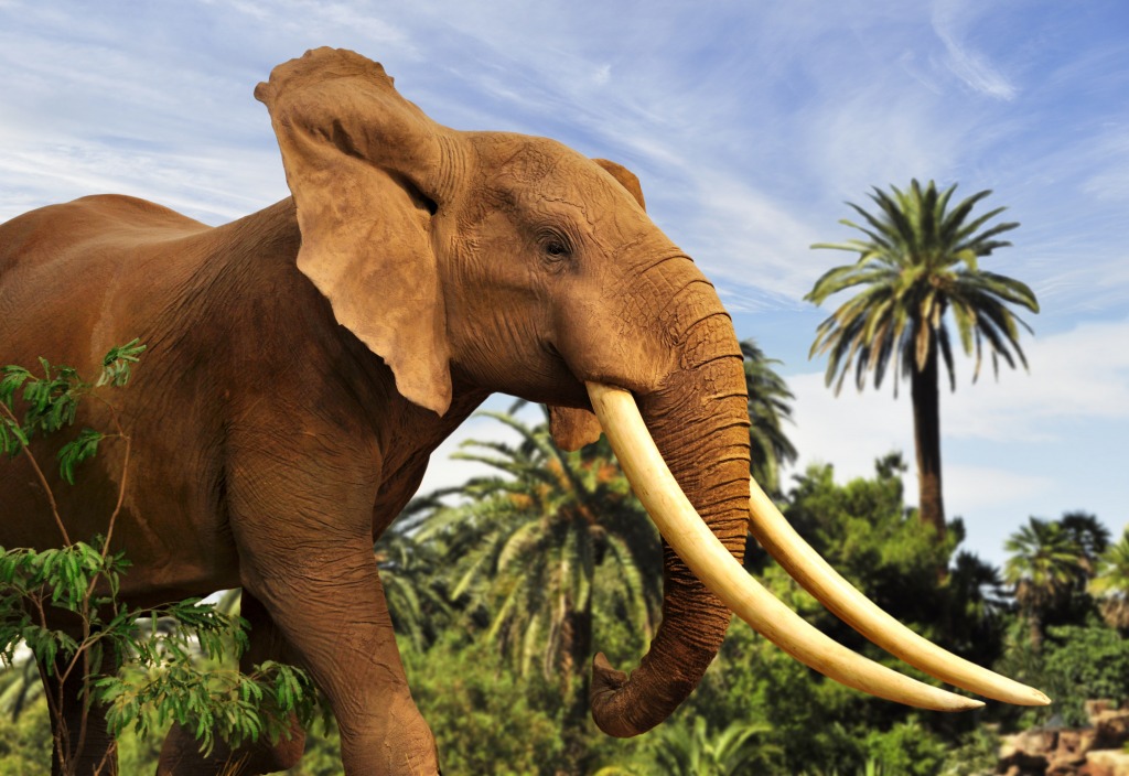 African Elephant jigsaw puzzle in Animals puzzles on TheJigsawPuzzles.com