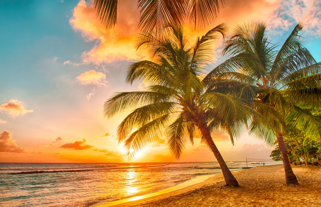 Caribbean Island of Barbados jigsaw puzzle in Great Sightings puzzles on TheJigsawPuzzles.com