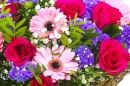 Bouquet of Colourful Flowers