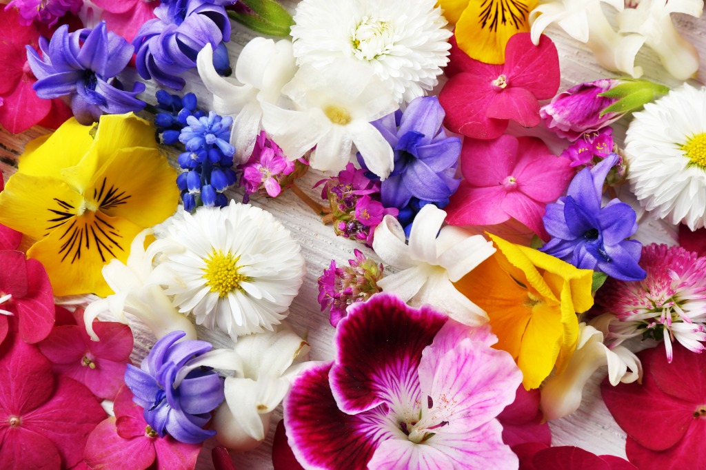 Colorful Spring Flowers jigsaw puzzle in Puzzle of the Day puzzles on TheJigsawPuzzles.com