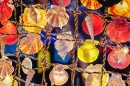 Sea Shells at the Tourist Market