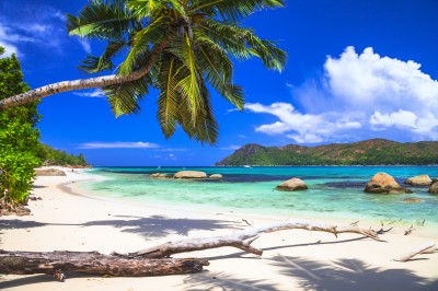 Pure Tropics jigsaw puzzle in Great Sightings puzzles on ...