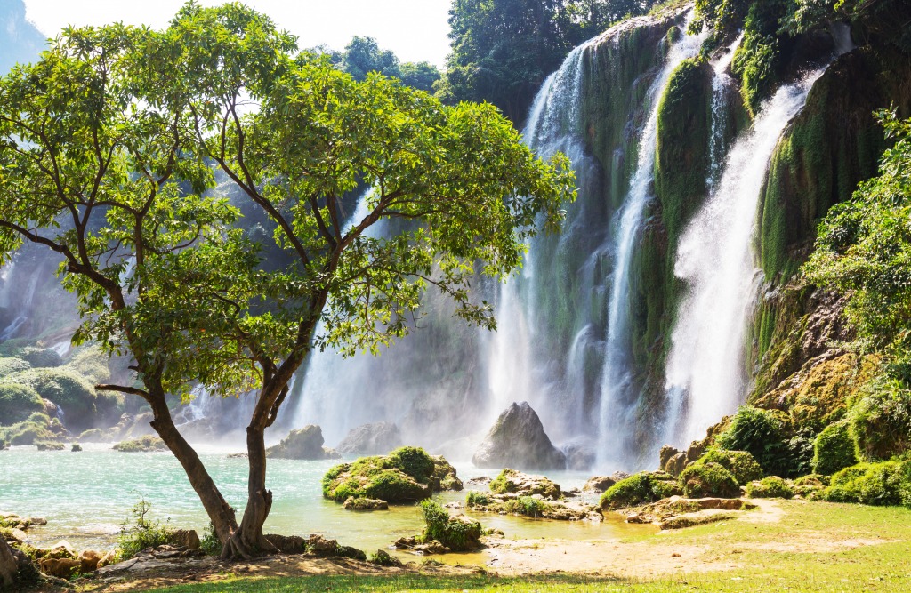 Detian-Wasserfälle, Ban Gioc, Vietnam jigsaw puzzle in Wasserfälle puzzles on TheJigsawPuzzles.com