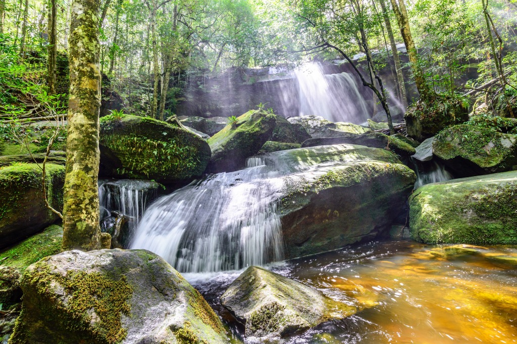 Waterfall in the Rainforest jigsaw puzzle in Waterfalls puzzles on TheJigsawPuzzles.com