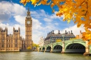 Big Ben with Autumn Leaves, London