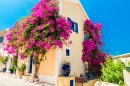 Greek House with Flowers