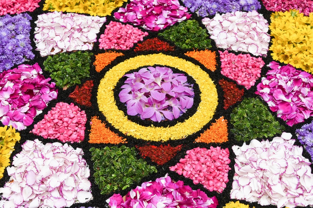 Фестиваль в Керале, Индия jigsaw puzzle in Цветы puzzles on TheJigsawPuzzles.com