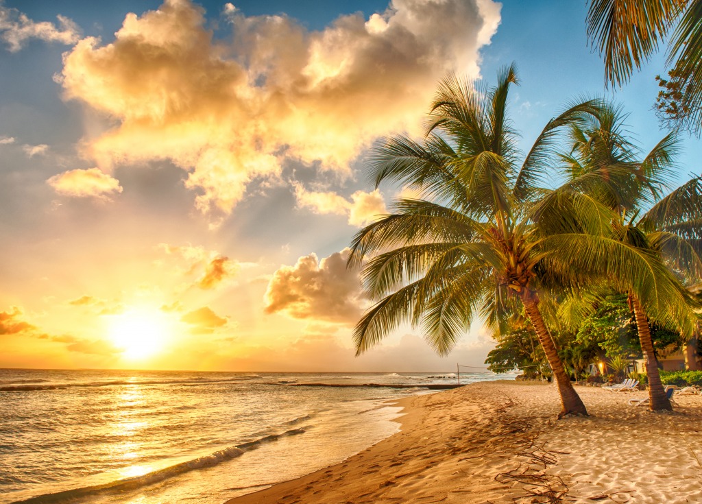 Caribbean Island of Barbados jigsaw puzzle in Great Sightings puzzles on TheJigsawPuzzles.com