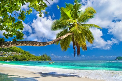 Idyllic Beach, Seychelles jigsaw puzzle in Great Sightings puzzles on ...