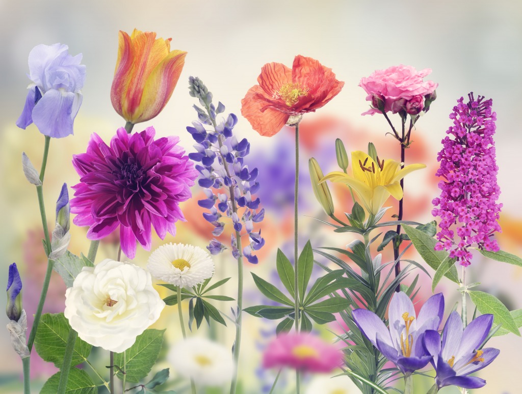 Flowers Blooming in the Garden jigsaw puzzle in Flowers puzzles on TheJigsawPuzzles.com