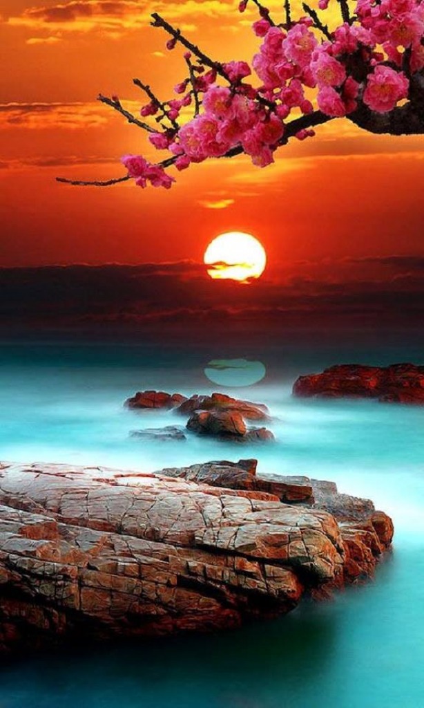 sunset jigsaw puzzle in Patricia Haller puzzles on TheJigsawPuzzles.com